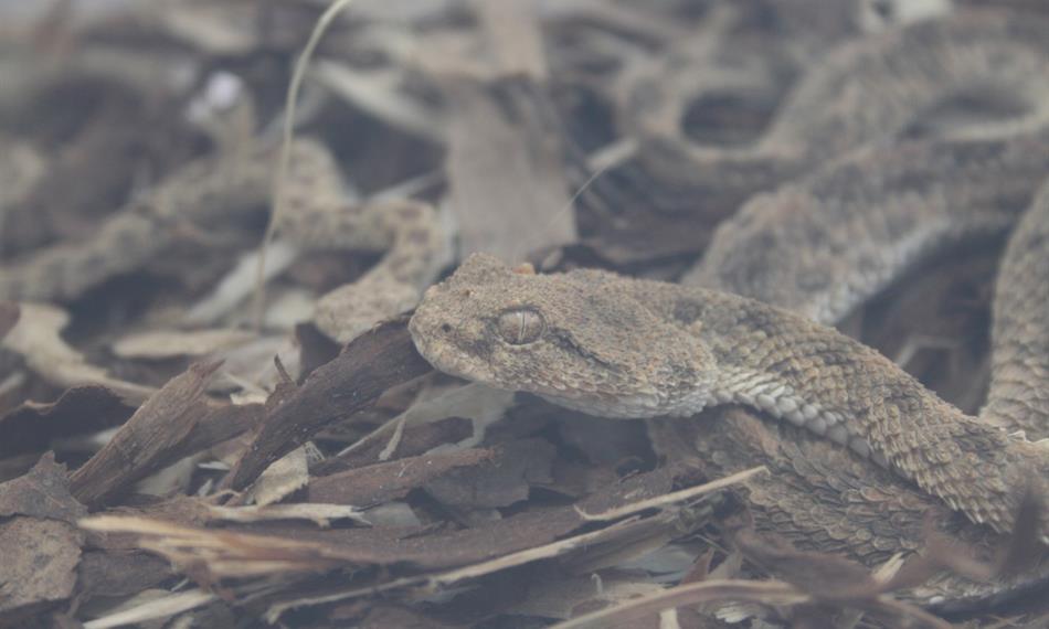 2014-10-21-941CITES 5.jpg